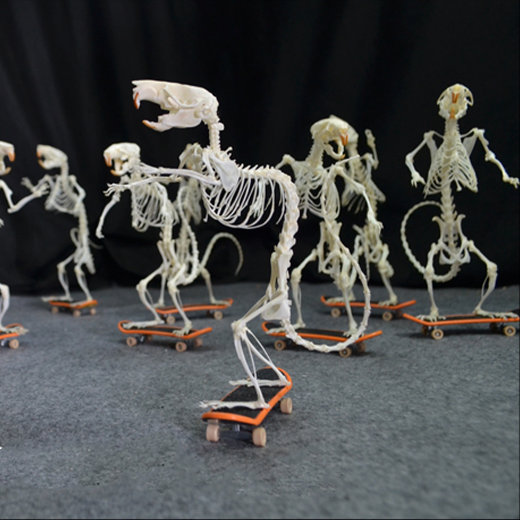 2022 Taxidermy Rodent Skeletal Art Urban Relic Display Gothic Skate Culture Bone Dynamics Artisan Replica Pink Mouse Ossuary Sculpture Art