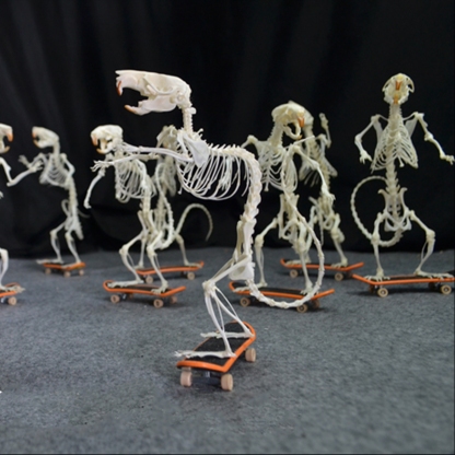 2022 Taxidermy Rodent Skeletal Art Urban Relic Display Gothic Skate Culture Bone Dynamics Artisan Replica Pink Mouse Ossuary Sculpture Art