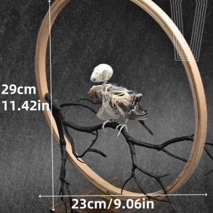 2027 Taxidermy Passerine Ossuary Shadowbox Gothic Anatomy Artifact Articulated Skeletal Artistry Ecclesiastical Bird Bone Assemblage