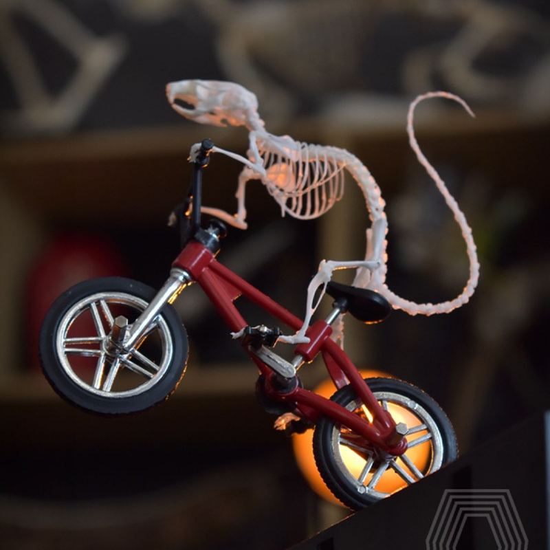 2203 Unique Skeleton Skull Art Handcrafted Mouse Bone Model Perfect for Dark Theme Rooms or Halloween Decorations Elegant Gothic