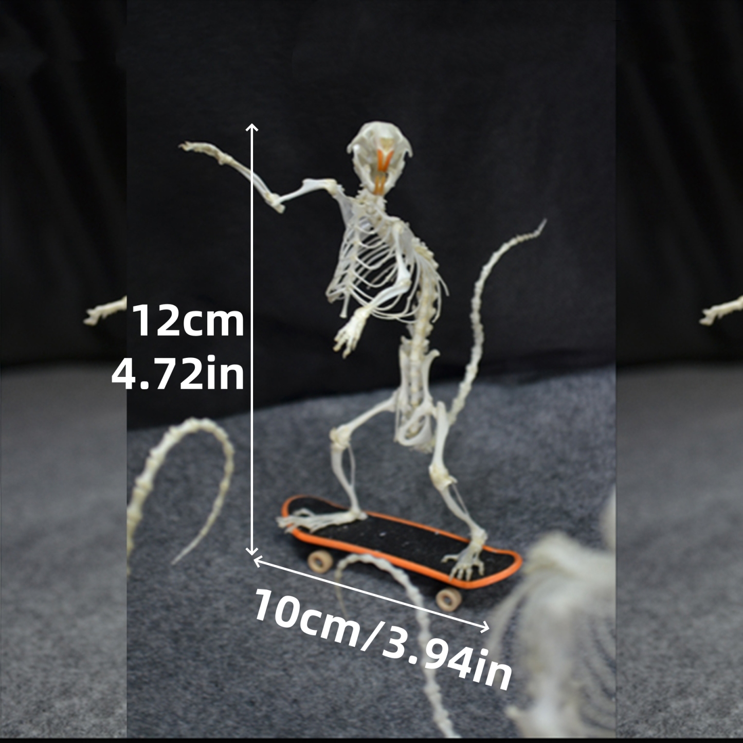 2022 Taxidermy Rodent Skeletal Art Urban Relic Display Gothic Skate Culture Bone Dynamics Artisan Replica Pink Mouse Ossuary Sculpture Art