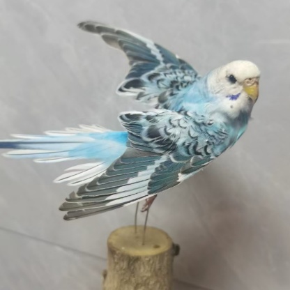 2042 Wholesale Parrot Taxidermy Family Garden Bird Dark specimen Decoration Miniature Halloween Christmas Wedding party supplies
