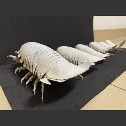 2242 Giant Bathynomus Giganteus Insect Resin Art Decoration Size 40cm Entomological Display Decoration Natural Home Accessories