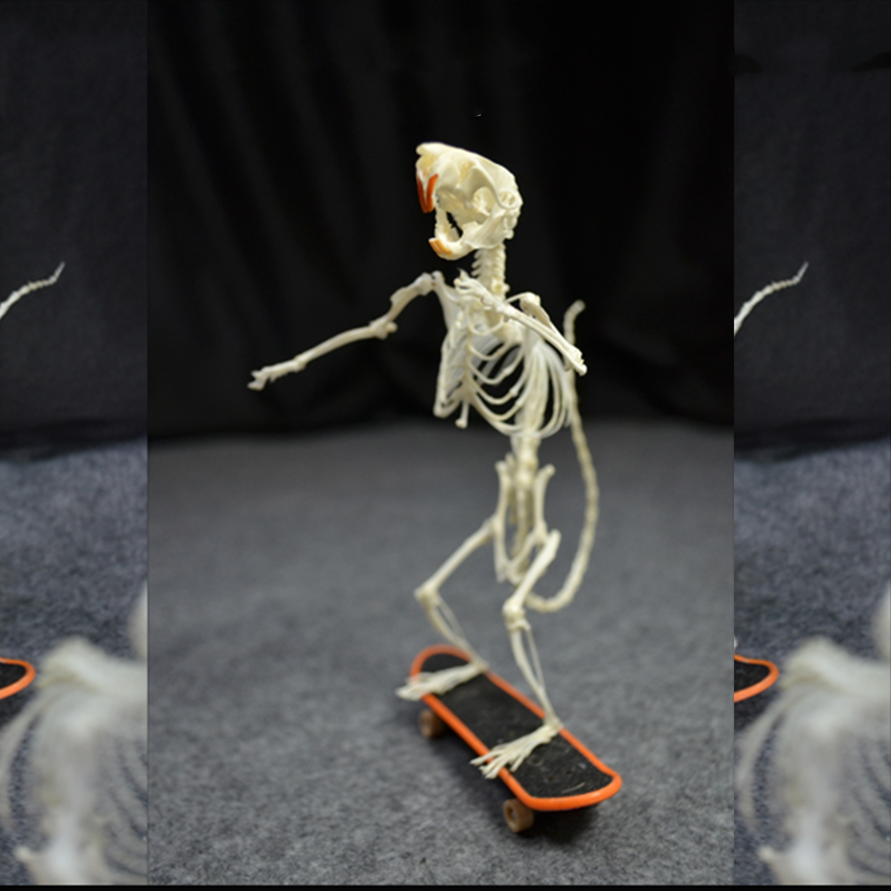 2022 Taxidermy Rodent Skeletal Art Urban Relic Display Gothic Skate Culture Bone Dynamics Artisan Replica Pink Mouse Ossuary Sculpture Art