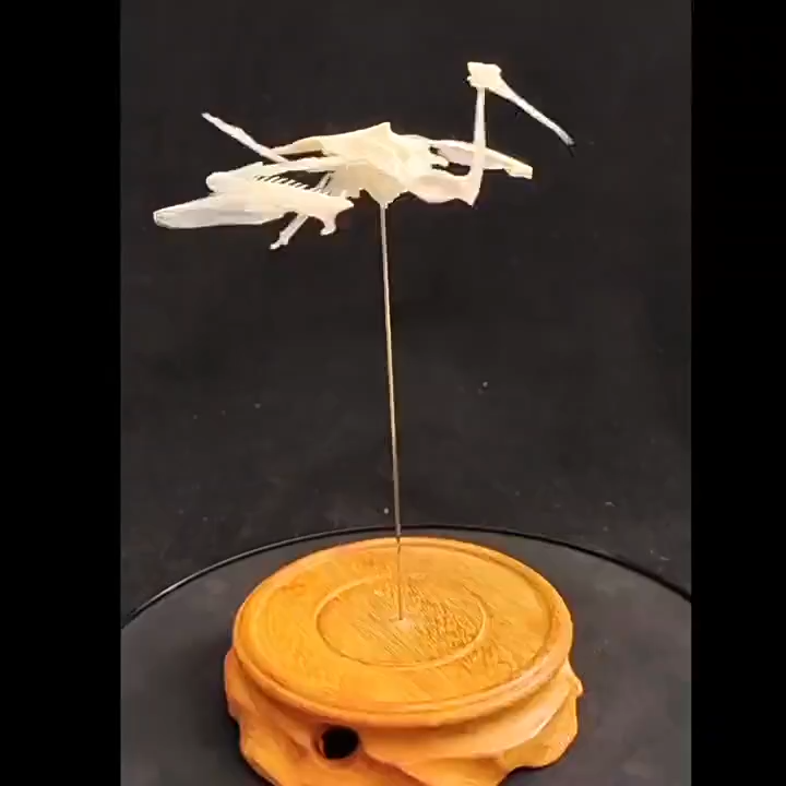 2008 Taxidermy Artificial Bone Crane Figurine Craft Sculpture Oriental Home Decor Spiritual Symbol Artifact Shelf Display Mythical Replica