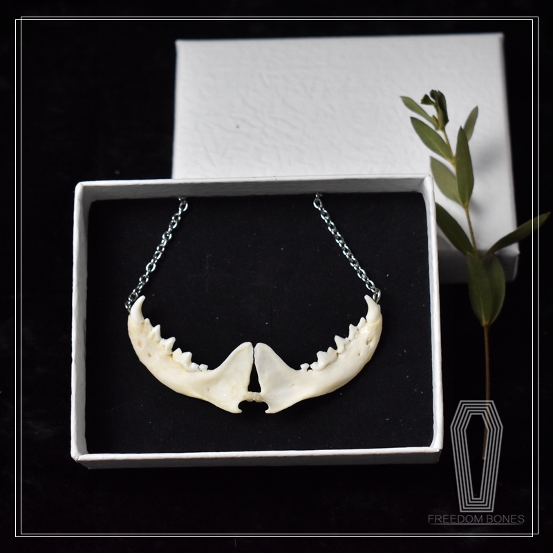 2104 Jewelry series Handmade Gothic Necklace Punk Style Bone Pendant for Men Women Alloy Chain Christmas Halloween Gift Party Goth