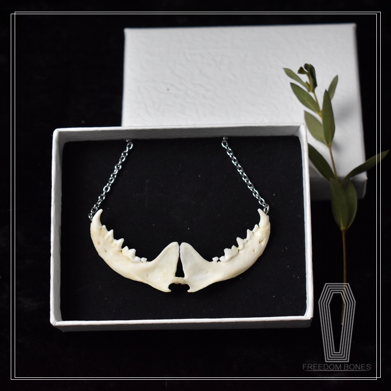 2104 Jewelry series Handmade Gothic Necklace Punk Style Bone Pendant for Men Women Alloy Chain Christmas Halloween Gift Party Goth