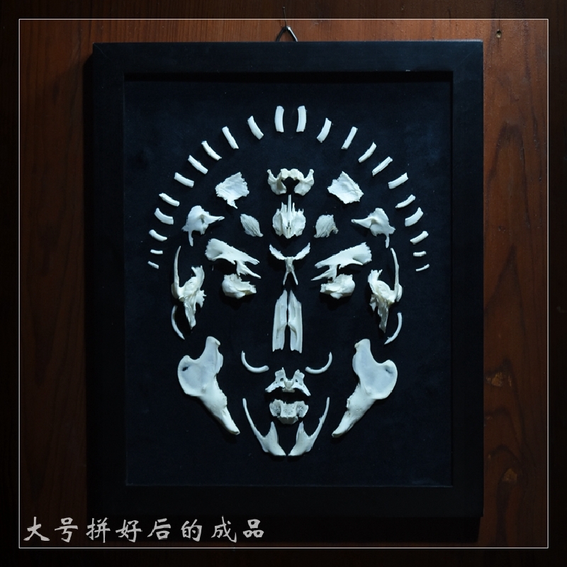 2002 Handmade Rabbit Skeleton Art Synthetic Bone Texture Macabre Wall 