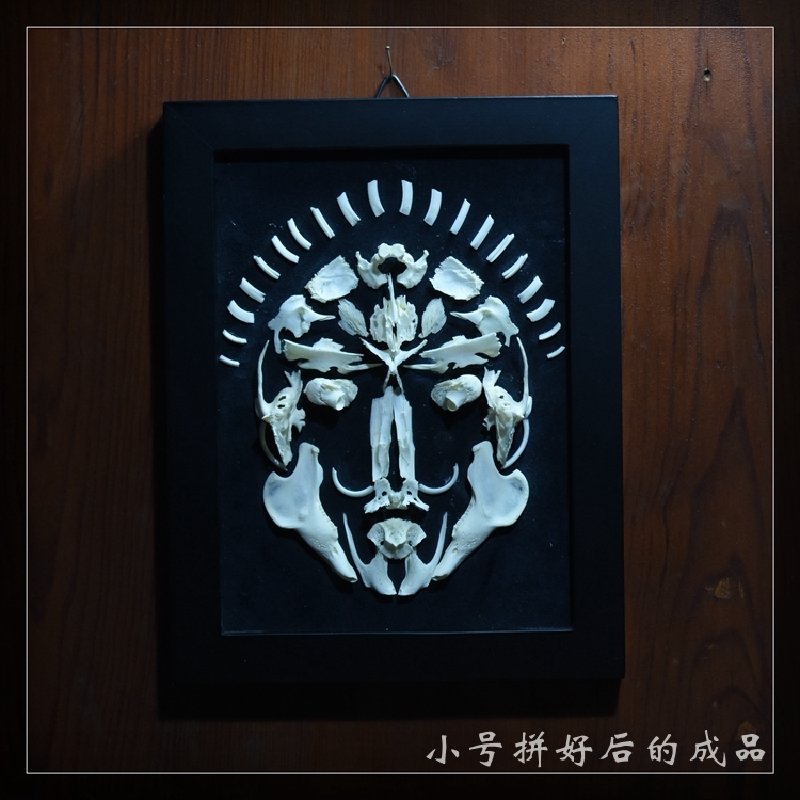 2002 Handmade Rabbit Skeleton Art Synthetic Bone Texture Macabre Wall 