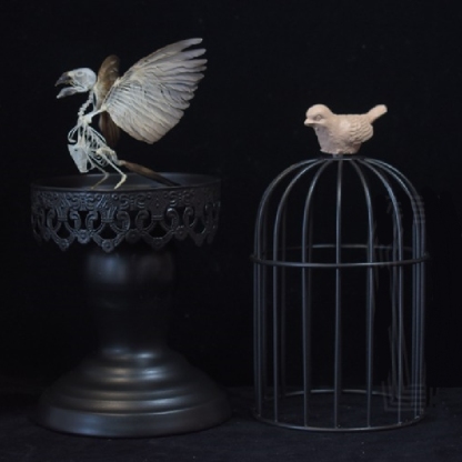 2001 Lifelike Avian Skeleton Replica Resin Cast Gothic Biology Study Non-Biological Specimen Dark Academia Decor Ethical