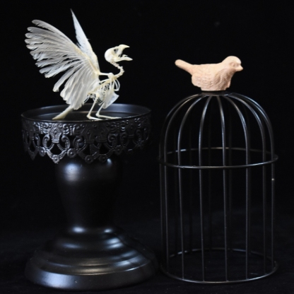 2001 Lifelike Avian Skeleton Replica Resin Cast Gothic Biology Study Non-Biological Specimen Dark Academia Decor Ethical