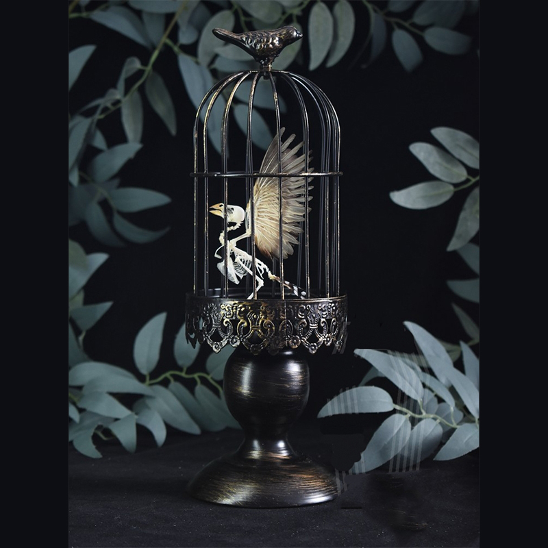 2001 Lifelike Avian Skeleton Replica Resin Cast Gothic Biology Study Non-Biological Specimen Dark Academia Decor Ethical