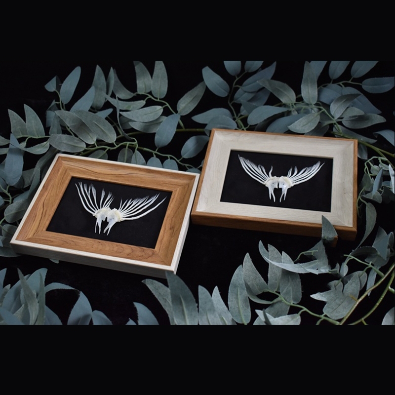 2006 Taxidermy Framed Fish Tail Bone Art Marine Biology Display Oceanic Skeletal Sculpture Victorian Cabinet Curio Anatomy Decor Crafted