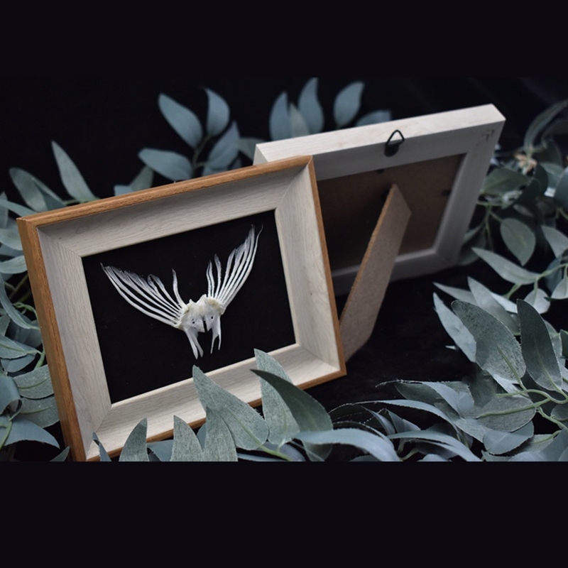 2006 Taxidermy Framed Fish Tail Bone Art Marine Biology Display Oceanic Skeletal Sculpture Victorian Cabinet Curio Anatomy Decor Crafted