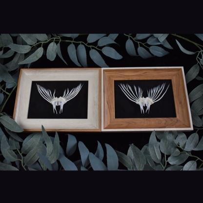 2006 Taxidermy Framed Fish Tail Bone Art Marine Biology Display Oceanic Skeletal Sculpture Victorian Cabinet Curio Anatomy Decor Crafted