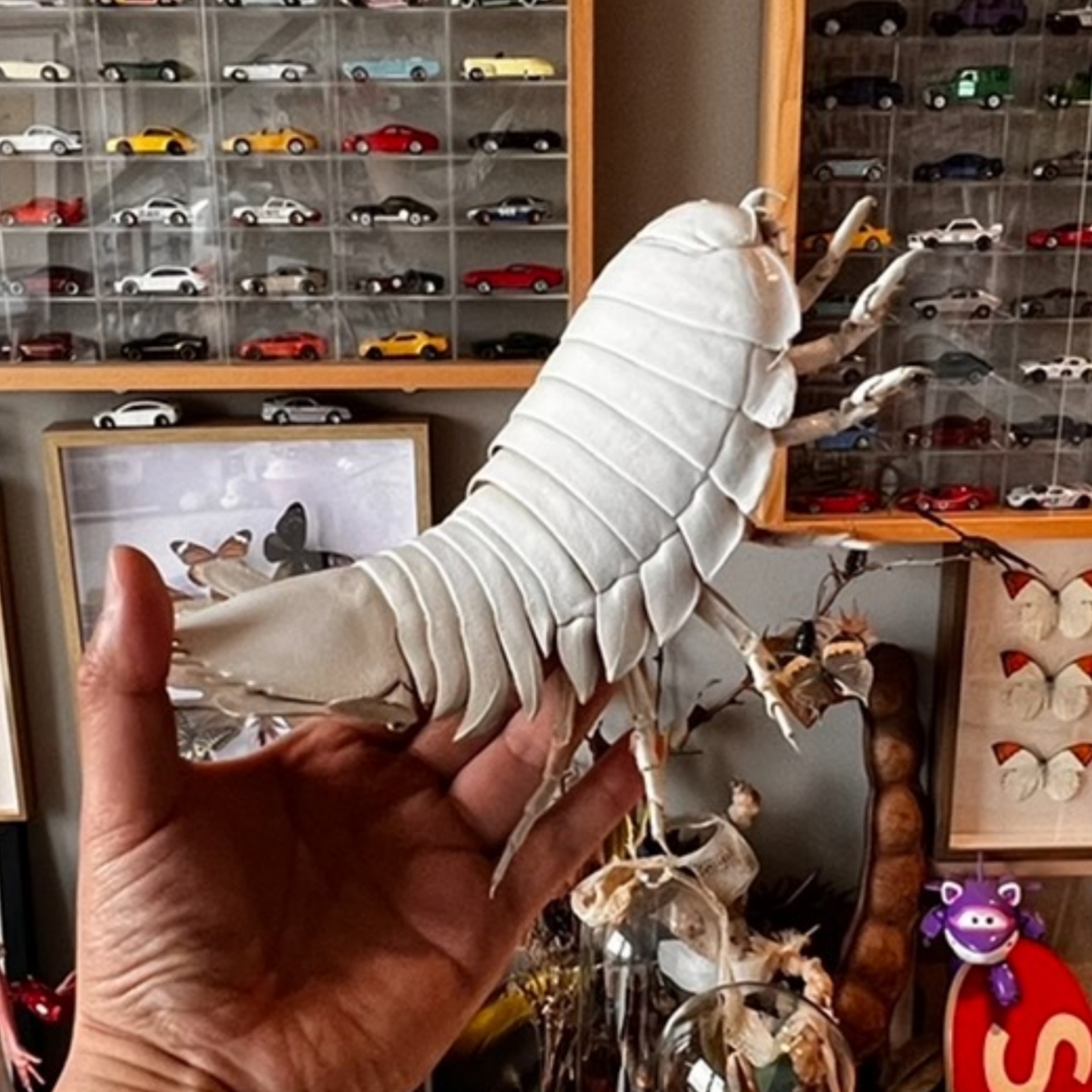 2242 Giant Bathynomus Giganteus Insect Resin Art Decoration Size 40cm Entomological Display Decoration Natural Home Accessories