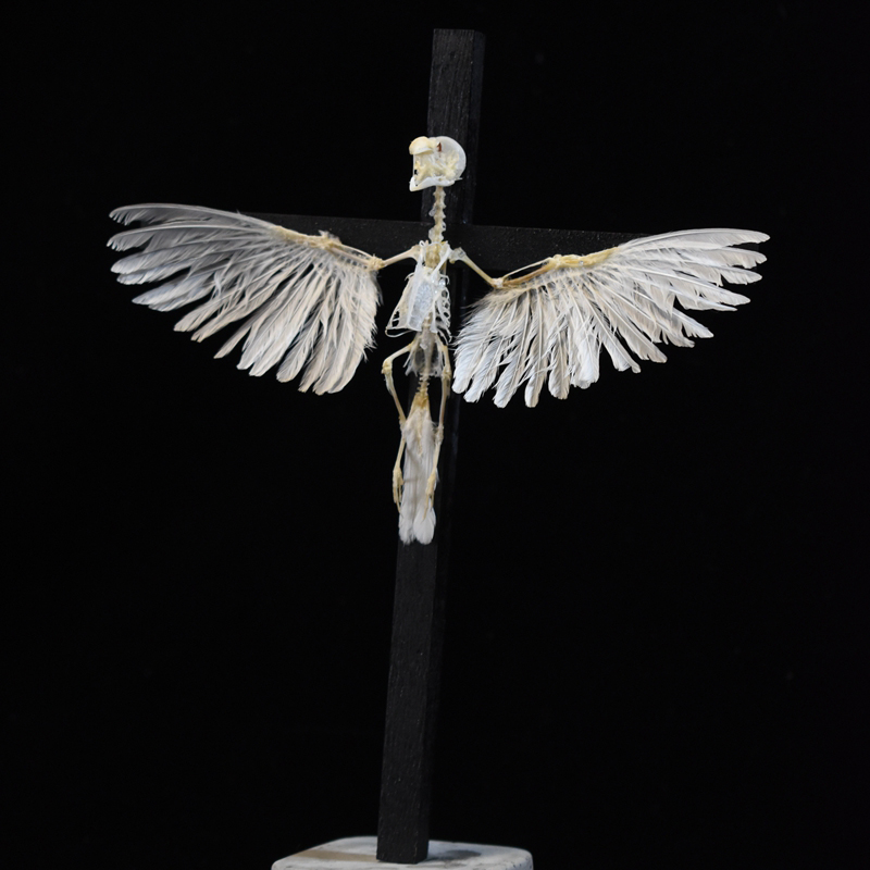 2003 Ornamental Bird Bone Cross Charm Gothic Home Decor Craft Miniature Animal Skeleton Replica Wall Hanging Spiritual Art