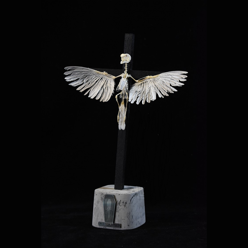 2003 Ornamental Bird Bone Cross Charm Gothic Home Decor Craft Miniature Animal Skeleton Replica Wall Hanging Spiritual Art
