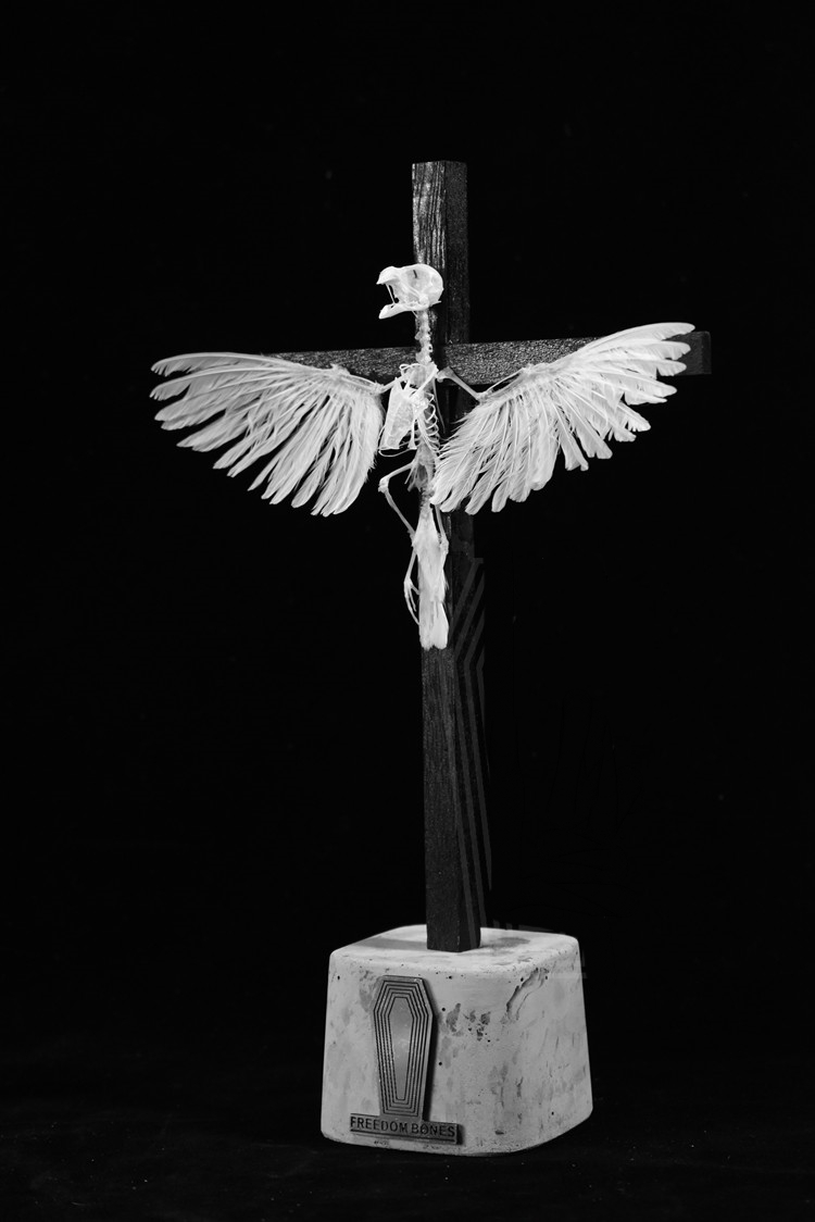 2003 Ornamental Bird Bone Cross Charm Gothic Home Decor Craft Miniature Animal Skeleton Replica Wall Hanging Spiritual Art