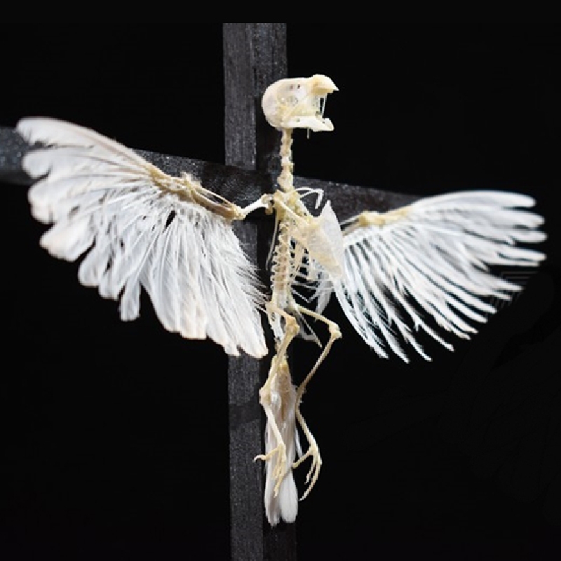 2003 Ornamental Bird Bone Cross Charm Gothic Home Decor Craft Miniatur
