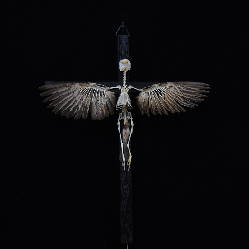 2003 Ornamental Bird Bone Cross Charm Gothic Home Decor Craft Miniature Animal Skeleton Replica Wall Hanging Spiritual Art