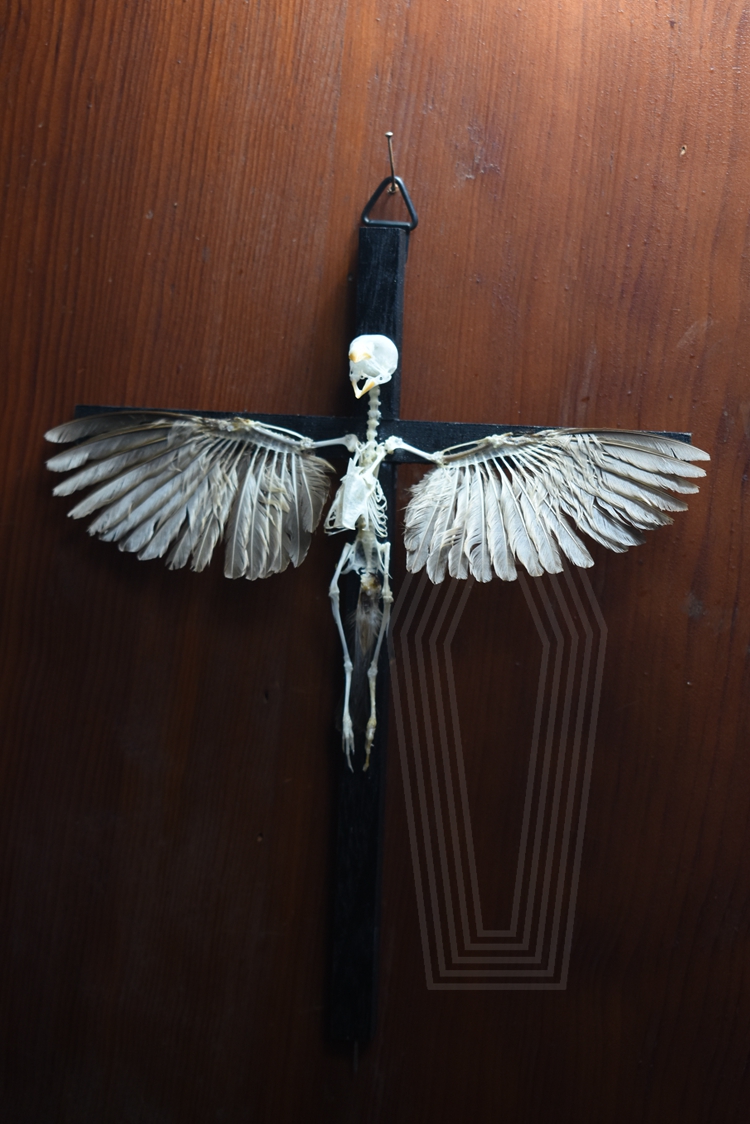 2003 Ornamental Bird Bone Cross Charm Gothic Home Decor Craft Miniature Animal Skeleton Replica Wall Hanging Spiritual Art