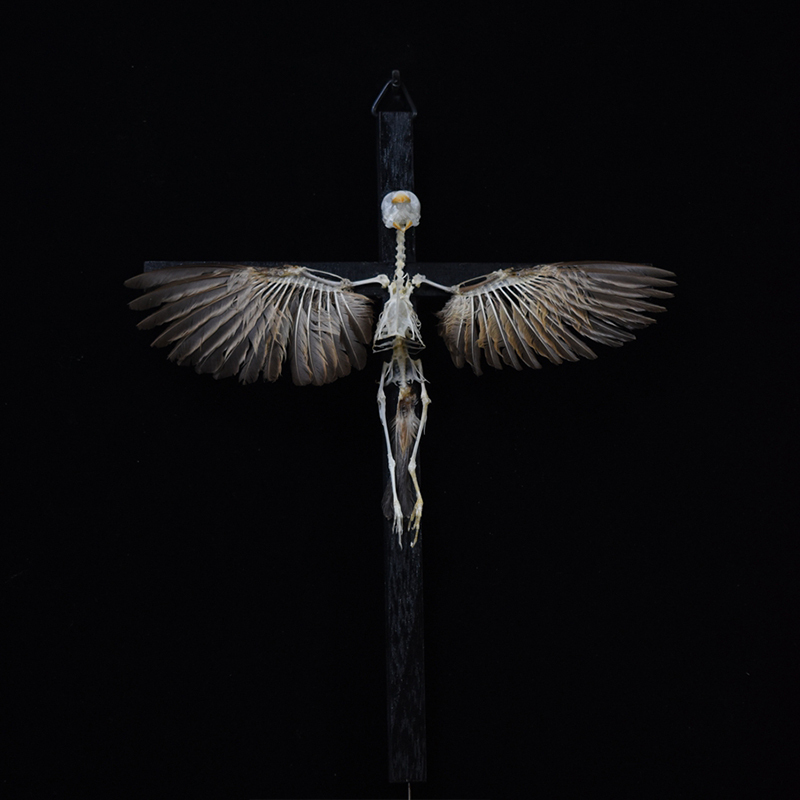 2003 Ornamental Bird Bone Cross Charm Gothic Home Decor Craft Miniature Animal Skeleton Replica Wall Hanging Spiritual Art