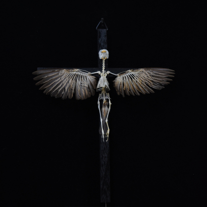 2003 Ornamental Bird Bone Cross Charm Gothic Home Decor Craft Miniature Animal Skeleton Replica Wall Hanging Spiritual Art