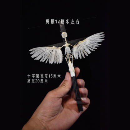 2003 Ornamental Bird Bone Cross Charm Gothic Home Decor Craft Miniature Animal Skeleton Replica Wall Hanging Spiritual Art