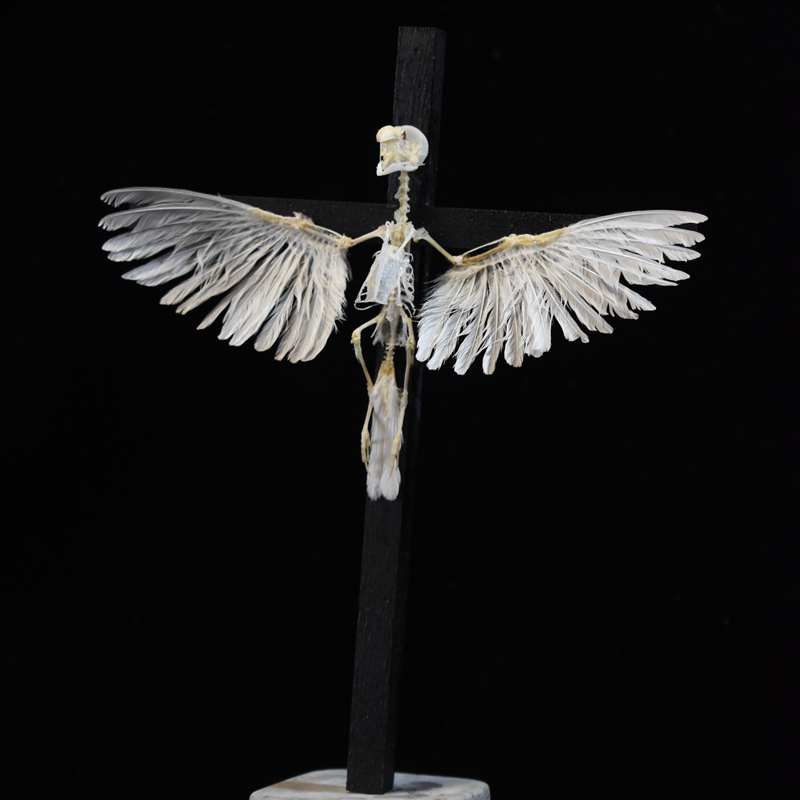 2003 Ornamental Bird Bone Cross Charm Gothic Home Decor Craft Miniature Animal Skeleton Replica Wall Hanging Spiritual Art