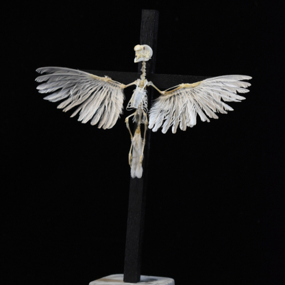 2003 Ornamental Bird Bone Cross Charm Gothic Home Decor Craft Miniature Animal Skeleton Replica Wall Hanging Spiritual Art