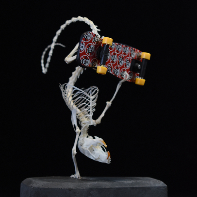 2037 Rodent Skeletal Art Gothic Urban Relic Articulated Bone Dynamics Biomechanics Shadowbox Artisan Steampunk Mouse