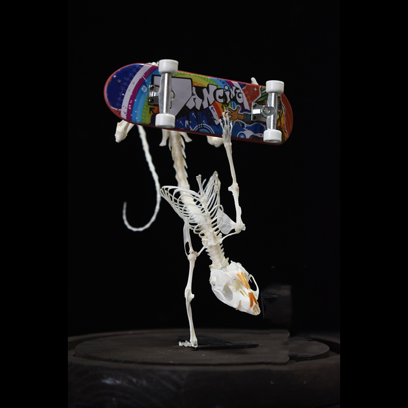 2037 Rodent Skeletal Art Gothic Urban Relic Articulated Bone Dynamics Biomechanics Shadowbox Artisan Steampunk Mouse