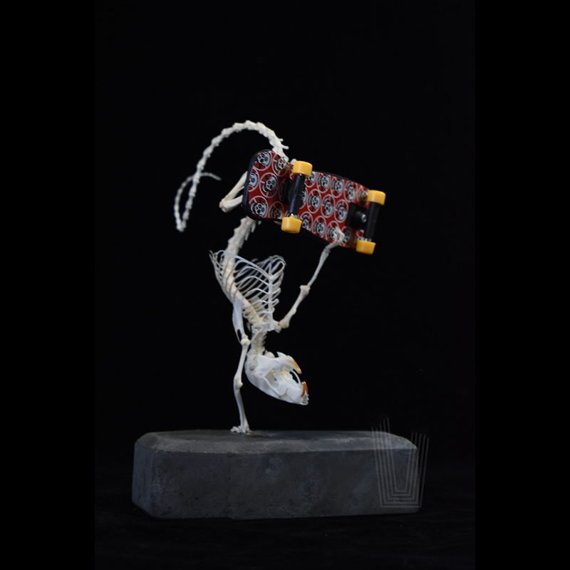 2037 Rodent Skeletal Art Gothic Urban Relic Articulated Bone Dynamics Biomechanics Shadowbox Artisan Steampunk Mouse