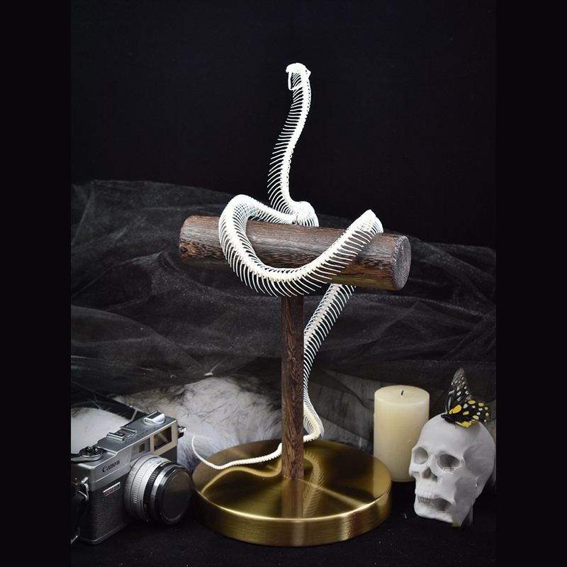 2013 Taxidermy Serpentine Skeletal Sculpture Wooden Stand Display Gothic Cabinet Curio Mystical Reptile Bone Artifact Anatomical Crafted