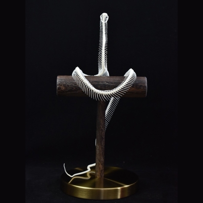 2013 Taxidermy Serpentine Skeletal Sculpture Wooden Stand Display Gothic Cabinet Curio Mystical Reptile Bone Artifact Anatomical Crafted