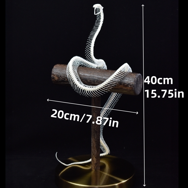 2013 Taxidermy Serpentine Skeletal Sculpture Wooden Stand Display Gothic Cabinet Curio Mystical Reptile Bone Artifact Anatomical Crafted