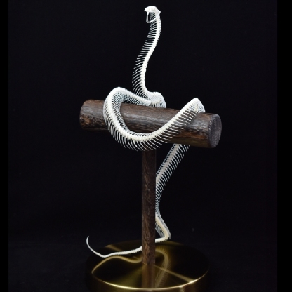 2106 Snake bone customization