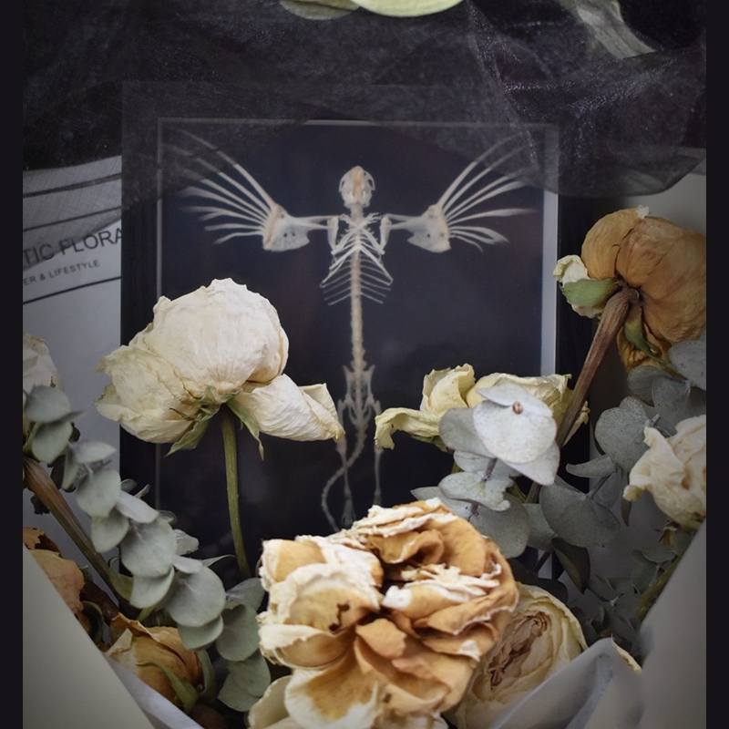 2005 Taxidermy Steampunk Mouse Skeleton Art Framed Shadowbox Fishbone Wing Flying Rodent Gothic Wall Decor Curio Cabinet Replica Oddity