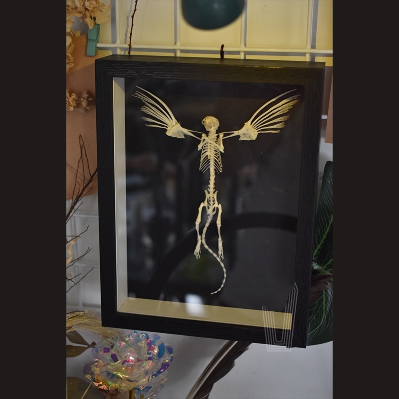 2005 Taxidermy Steampunk Mouse Skeleton Art Framed Shadowbox Fishbone Wing Flying Rodent Gothic Wall Decor Curio Cabinet Replica Oddity