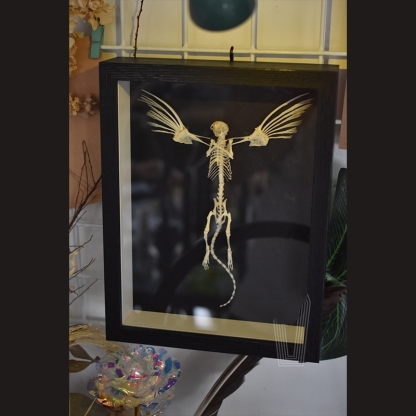 2005 Taxidermy Steampunk Mouse Skeleton Art Framed Shadowbox Fishbone Wing Flying Rodent Gothic Wall Decor Curio Cabinet Replica Oddity