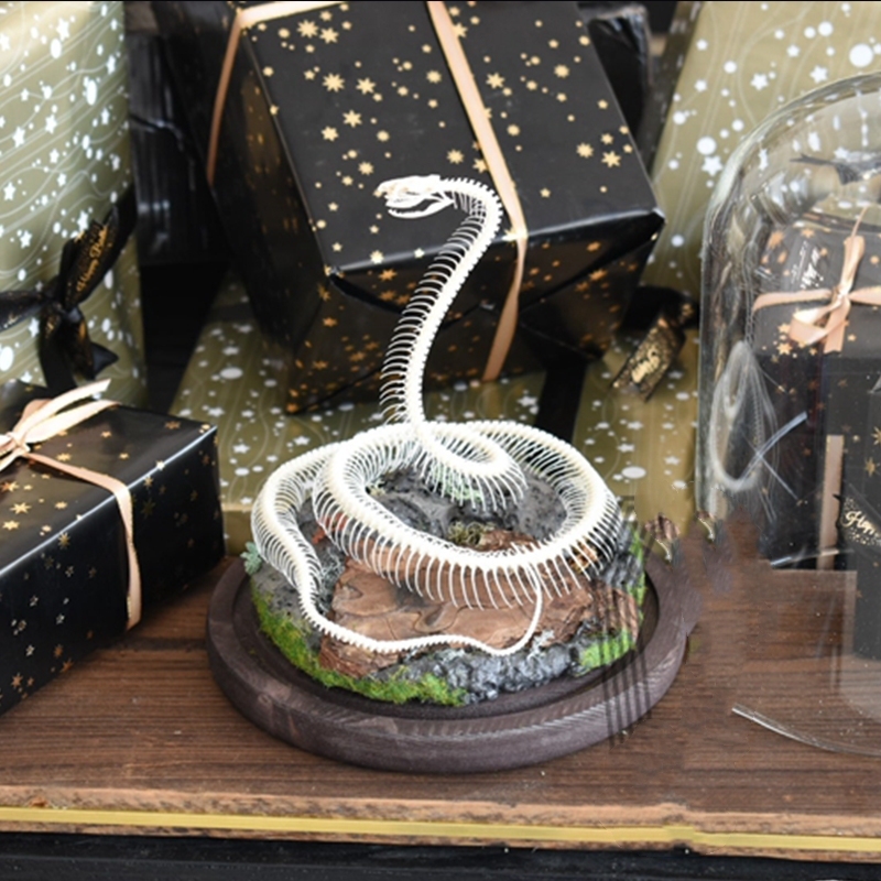 2014 Taxidermy Serpentine Skeletal Art Synthetic Landscape Display Mythical Reptile Bone Ascending Gothic Curio Cabinet Artisan Replica