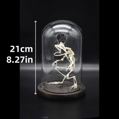 2035 Erect Ranidae Ossuary Sculpture Occult Zoology Display Symbolic Vocalization Craftsmanship Artistry Mythical Batrachian