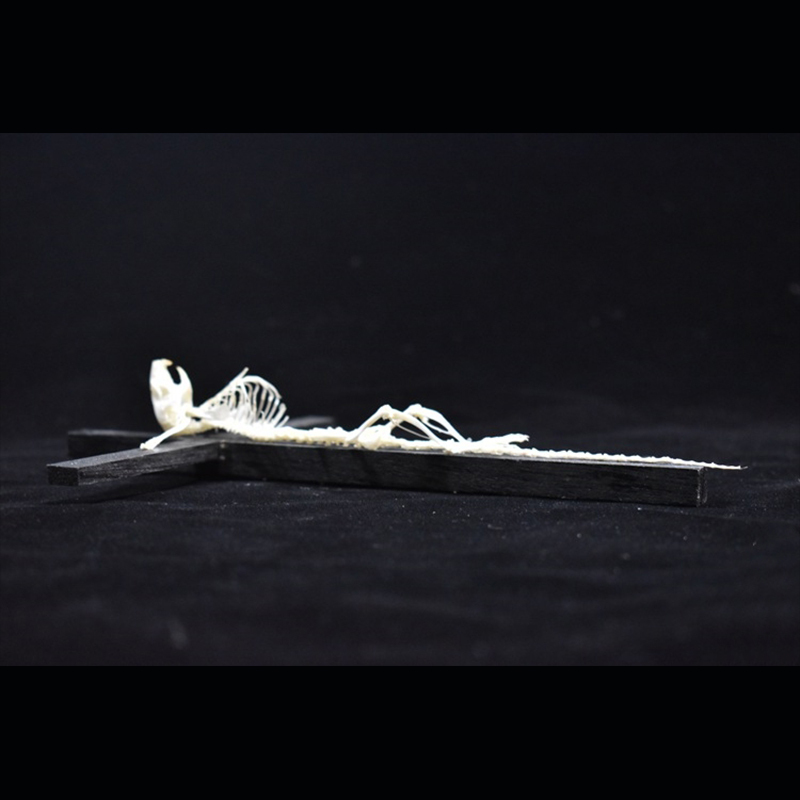 2025 Taxidermy Cruciform Rodent Skeletal Art Gothic Altar Relic Victorian Biology Study Bone Configuration Replica Pilgrim Mouse Ossuary