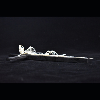 2025 Taxidermy Cruciform Rodent Skeletal Art Gothic Altar Relic Victorian Biology Study Bone Configuration Replica Pilgrim Mouse Ossuary