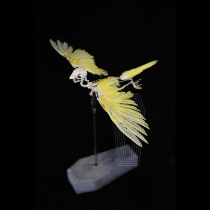 2030 Taxidermy Avian Flight Skeletal Allegory Gothic Reliquary Art Bone Articulation Ornithology Replica Soaring Ossuary Bird Sculpture