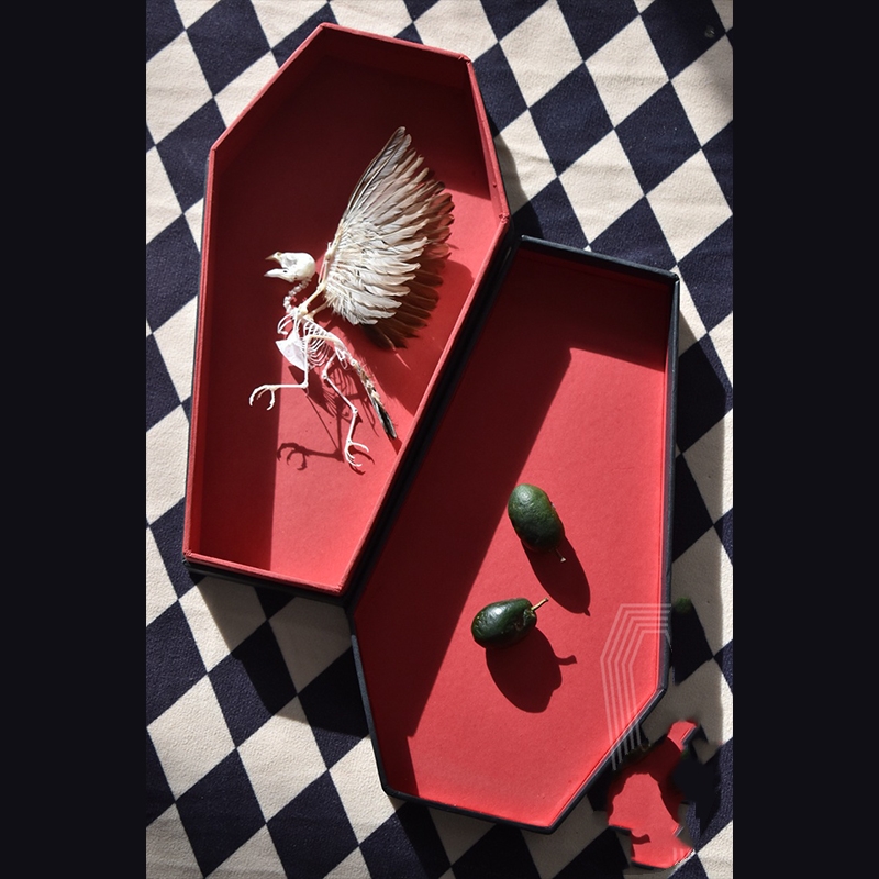 2009 Taxidermy Miniature Coffin Bird Skeleton Gothic Altar Decor Memento Mori Curio Cabinet Mystical Relic Artisan Crafted Display