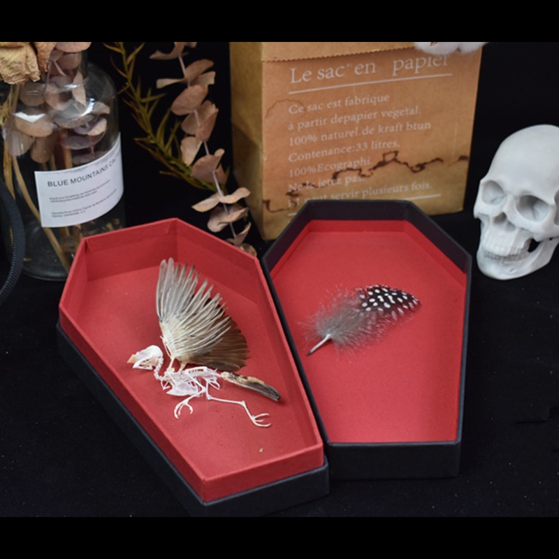2009 Taxidermy Miniature Coffin Bird Skeleton Gothic Altar Decor Memento Mori Curio Cabinet Mystical Relic Artisan Crafted Display