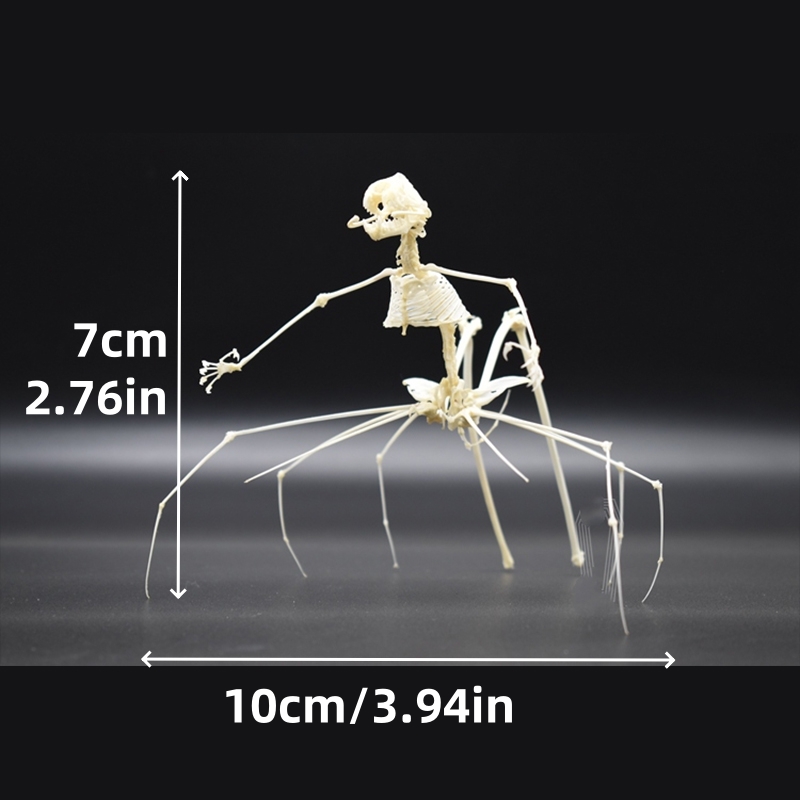 2023 Taxidermy Arachnid Ossuary Artifact Gothic Entomology Study Articulated Bone Assemblage Artisan Replica Mythical Spider Bone