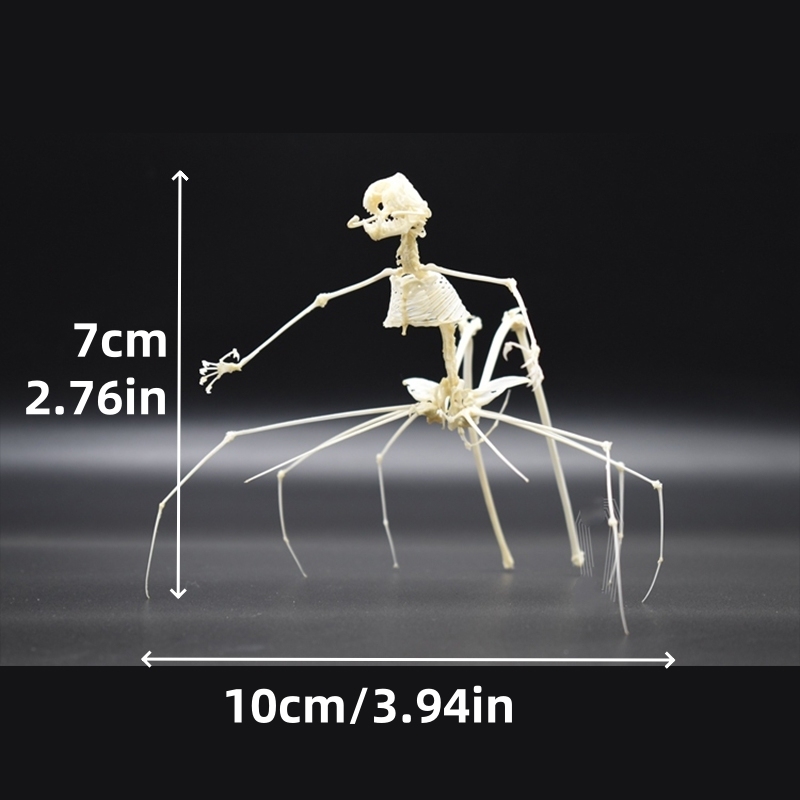 2023 Taxidermy Arachnid Ossuary Artifact Gothic Entomology Study Articulated Bone Assemblage Artisan Replica Mythical Spider Bone